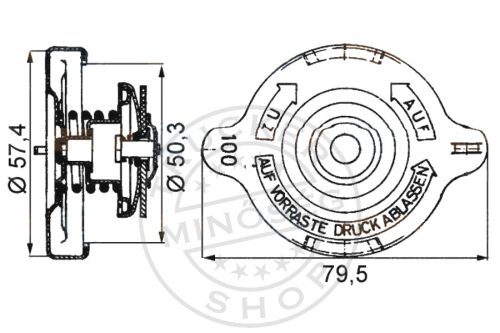 Kiegyenlítő tartály / hűtő zárósapka 57mm körmös, ovális 1,0bar Man
