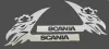 Scania inox ajtókilincs dísz párban Kivágott
