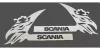 Scania inox ajtókilincs dísz párban Kivágott