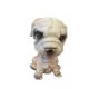 Bólogató kutya Shar pei