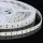 LED SZALAG 24V fehér, beltéri  (9,6W) 