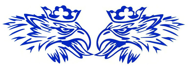 Image of Scania Griff matrica párban 20cm KÉK