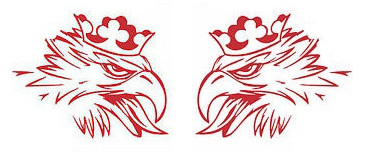 Image of Scania Griff matrica párban 20cm PIROS