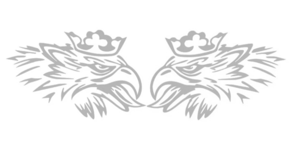 Image of Scania Griff matrica párban 20cm EZÜST