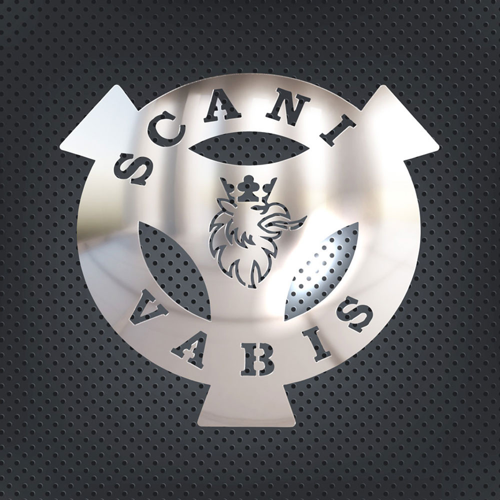 Image of Scania Vabis inox dísz 30 cm